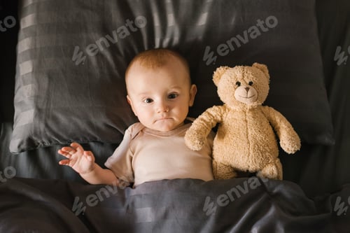 Preview: Baby boy is lying on a pillow with a soft teddy bear and covered with a blanket