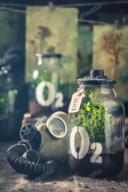 Preview: Strange jar with plant and mask as fresh air problem