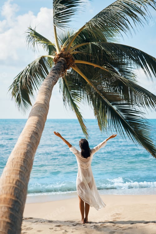 Preview: Back view of happy young woman enjoy her tropical beach vacation standing under palm tree