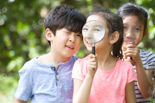 Preview: Happy children playing in woods