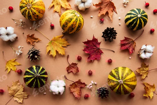 Preview: Autumn decoration with pumpkins and dry maple leaves
