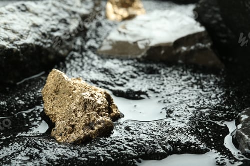 Preview: Shiny gold nugget on wet stones. Space for text