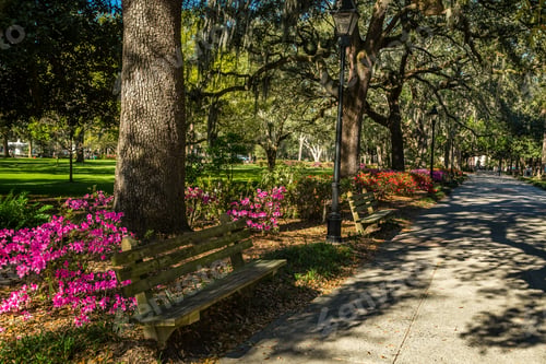 Preview: Forsyth Park In Spring