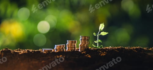 Preview: Money coins stack grow up to saving money concept