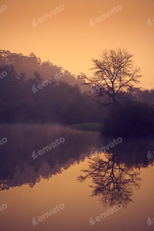 Preview: Misty morning autumn lake