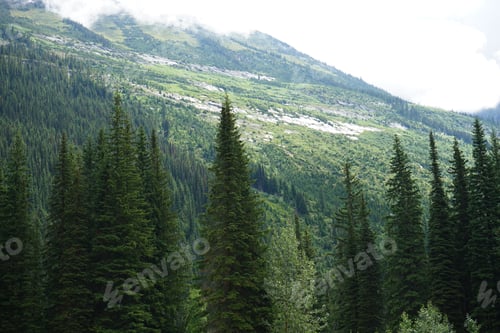 Preview: Natural background