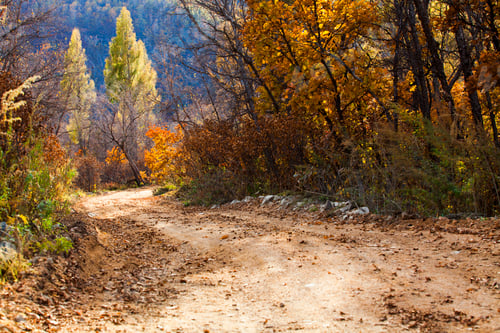 Preview: Country dirt road,China
