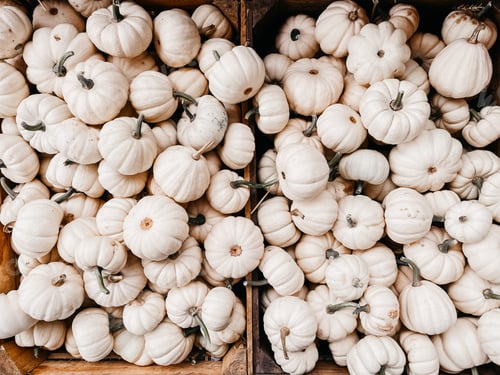 Preview: Pumpkins