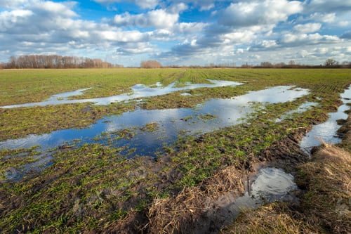Preview: Water puddles on a rural field and clouds in the sky