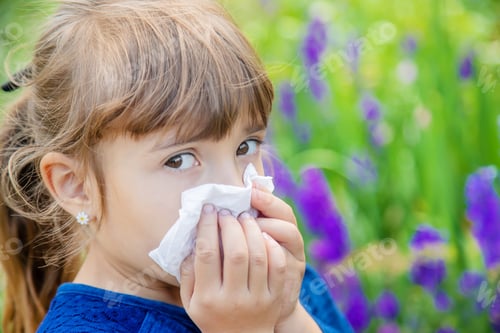 Preview: Seasonal allergy in a child. Coryza. Selective focus.