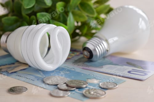 Preview: Different types of light bulbs with canadian dollars money and coins, energy efficiency concept