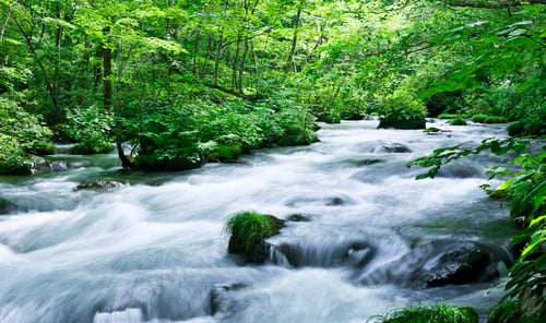 Preview: A Magical and Creative Japan pictures