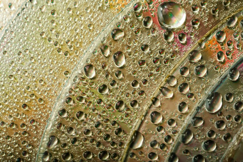 Preview: Colorful, Rainbow, Abstract Background. Water Drops. Condensate. Texture Of Glass. Parallel Lines