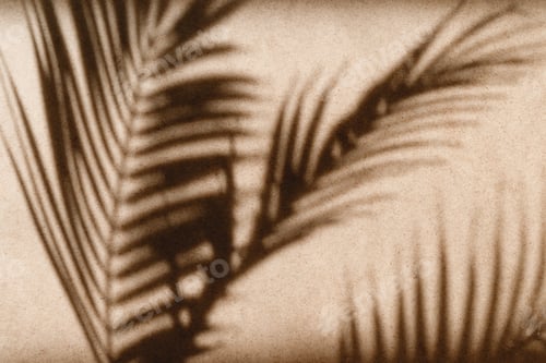 Preview: Tropics minimalist abstract blurred background of palm leaf shadow over kraft paper.