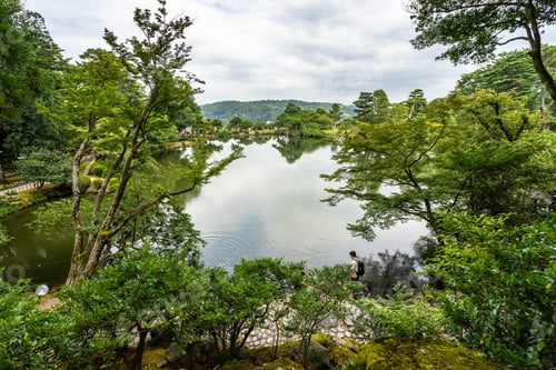 Preview: Breathtaking view of the pond and the trees in Kenrokuen garden captured in Kanazawa, Japan