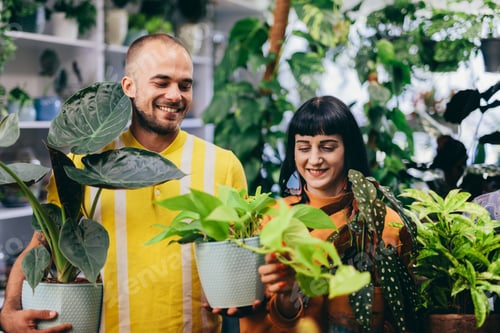 Preview: Man and woman carrying plants in pots.