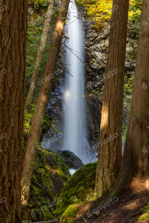 Preview: Waterfall in the forest