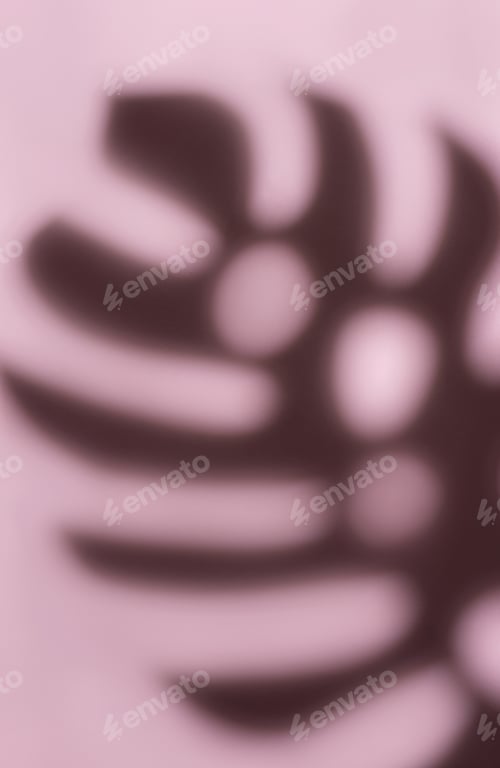 Preview: Shadows from monstera leaves