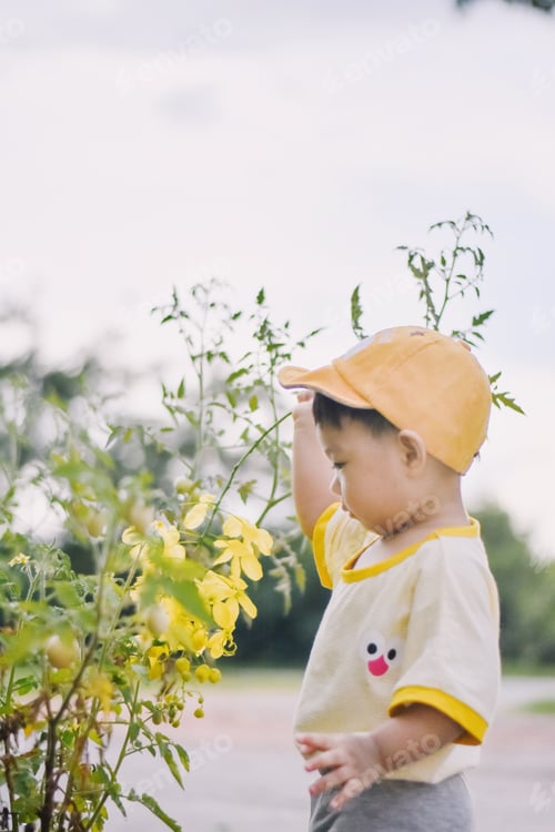 Preview: Tomato picking