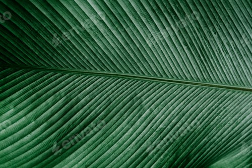 Preview: Green leaf texture. Nature background.
