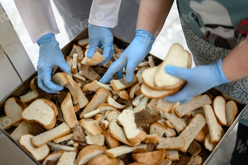 Preview: Hands holding bread crumbs