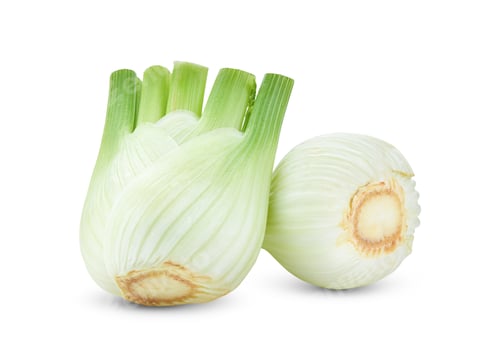 Preview: Fresh fennel isolated on a white background