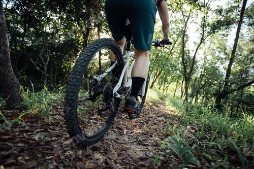 Preview: Mountain biking in summer forest