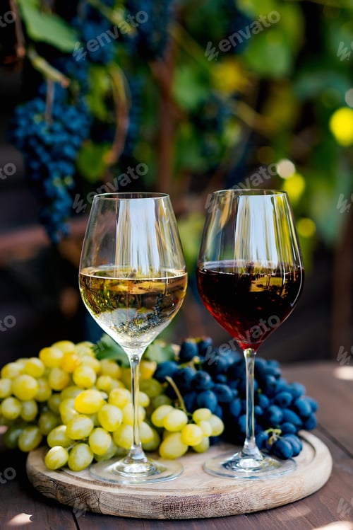 Preview: Two glasses with white and red wine on a wooden barrel in the vineyard.