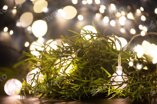 Preview: Christmas background with Christmas lights, candy jar and fir branch