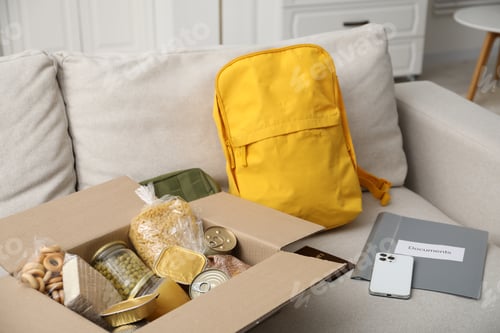 Preview: Survival kit. Different emergency supplies and food products in box on sofa