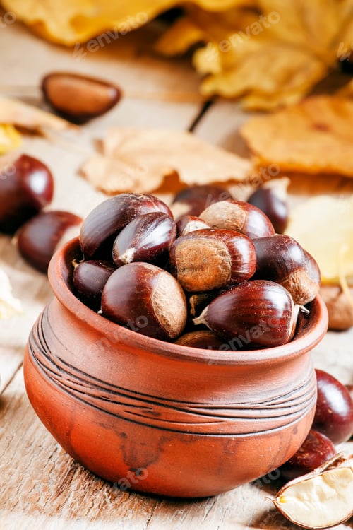 Preview: Edible chestnut harvest in a clay pot in the autumn with fallen leaves background, selective focus