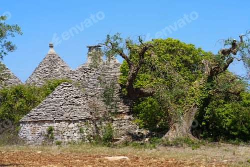 Preview: Rural landscape on Apulia between Alberobello and Locorotondo