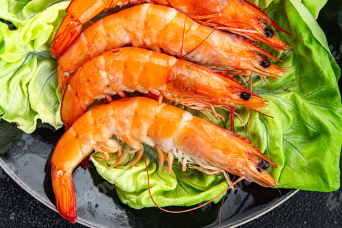 Preview: shrimp fresh prawn seafood crustacean langoustine meal food snack on the table copy space food