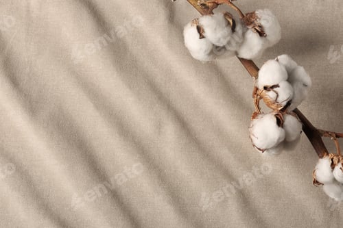 Preview: Branch with cotton flowers on fabric, view from above. Space for text