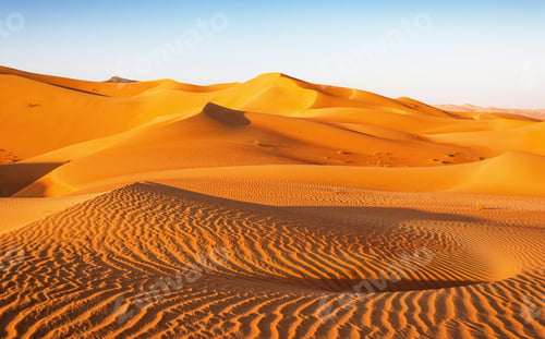 Preview: Dune Landscape in the Empty Quarter