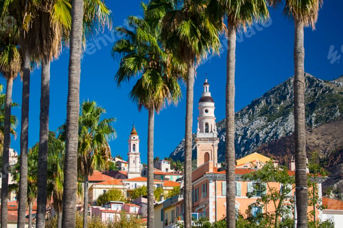 Preview: Palm trees and the Basilica of St. Michael the Archangel, Menton, France