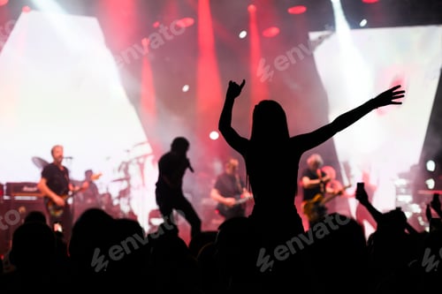 Preview: Silhouetted figure dancing at a rock concert