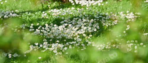 Preview: Adding a little colour to springtime