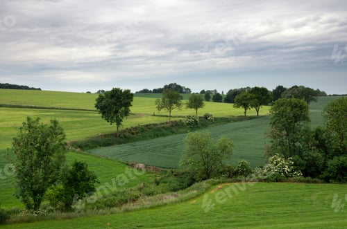 Preview: Landscape near Wijlre