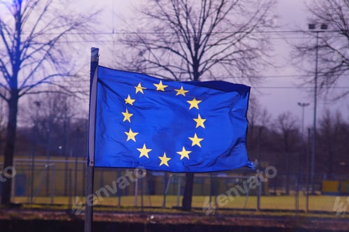 Preview: A winter mute unfolds the European flag