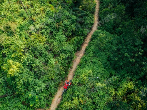Preview: Aerial view of cross country biking woman cyclist riding mountain bike on tropical rainforest trail