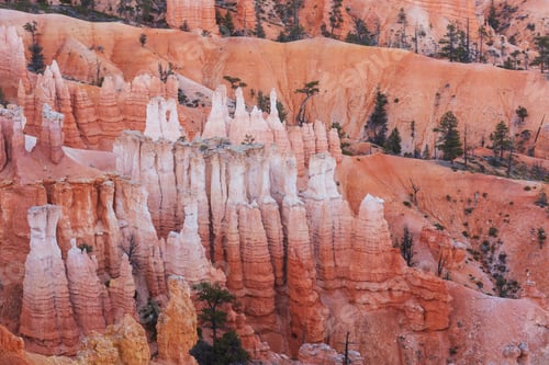 Preview: Bryce