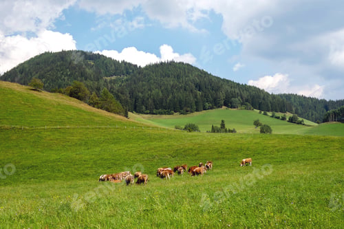 Preview: farm