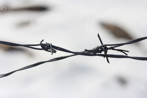 Preview: Barbed wire close up