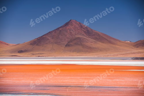 Preview: Red Lagoon (Laguna Colorada), a salt lake in the Altiplano of Bolivia in Eduardo Avaroa Andean Fauna