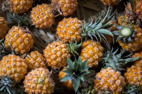 Preview: Selling fresh pineapple in the Indian market in Mauritius