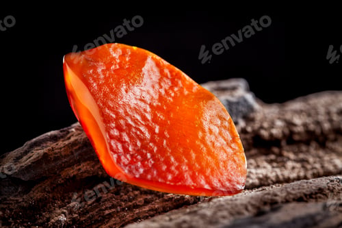 Preview: Natural amber. A piece of yellow and red semi transparent natural amber on piece of stoned wood