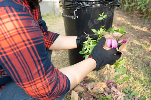 Preview: Asian woman clean and collecting bin dry leaves garbage in park, recycle, environment