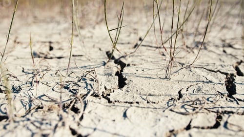 Preview: Drought Problem. Cracks On Dry Ground