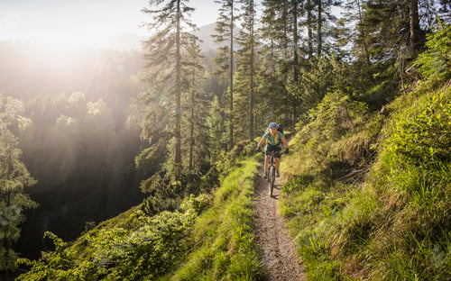 Preview: Woman mountain biking, Leermoos, Tyrol, Austria
